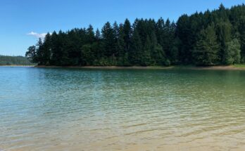Hagg Lake is a summer staple in Forest Grove.